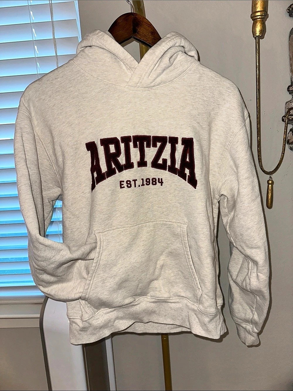 Aritzia Sweatfleece Cozy Fleece Graphic Hoodie Gray Size Medium